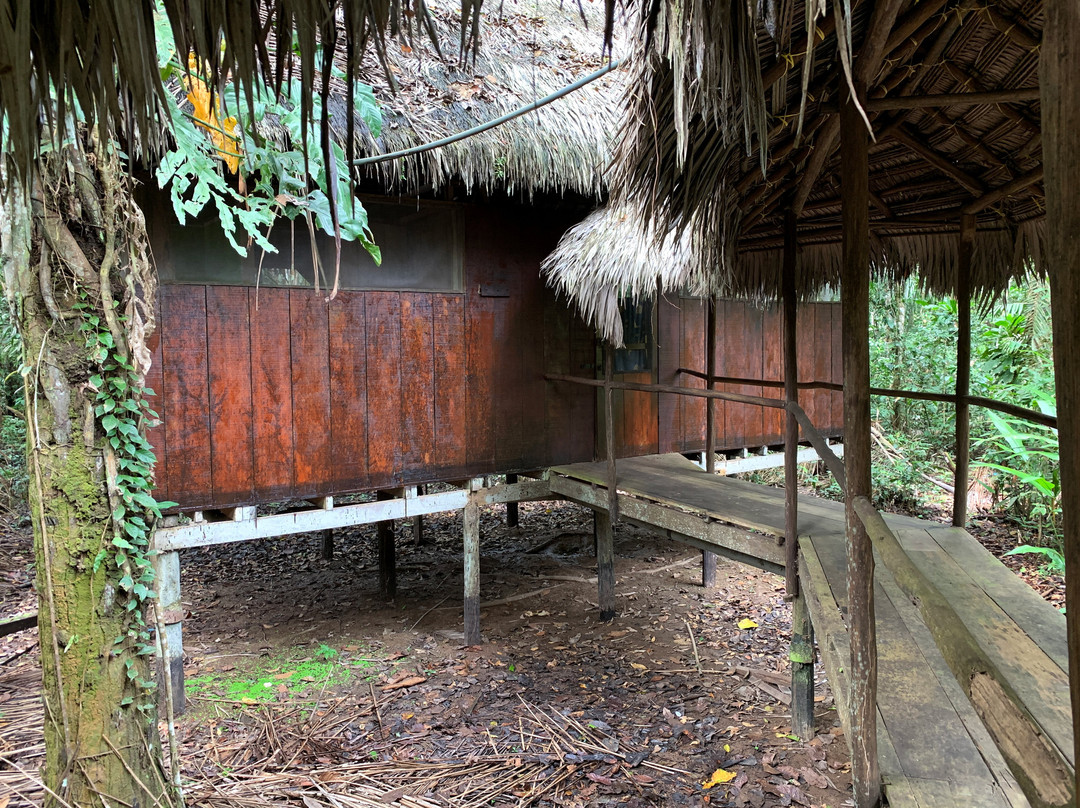 Yacumama Lodge & Excursions主图