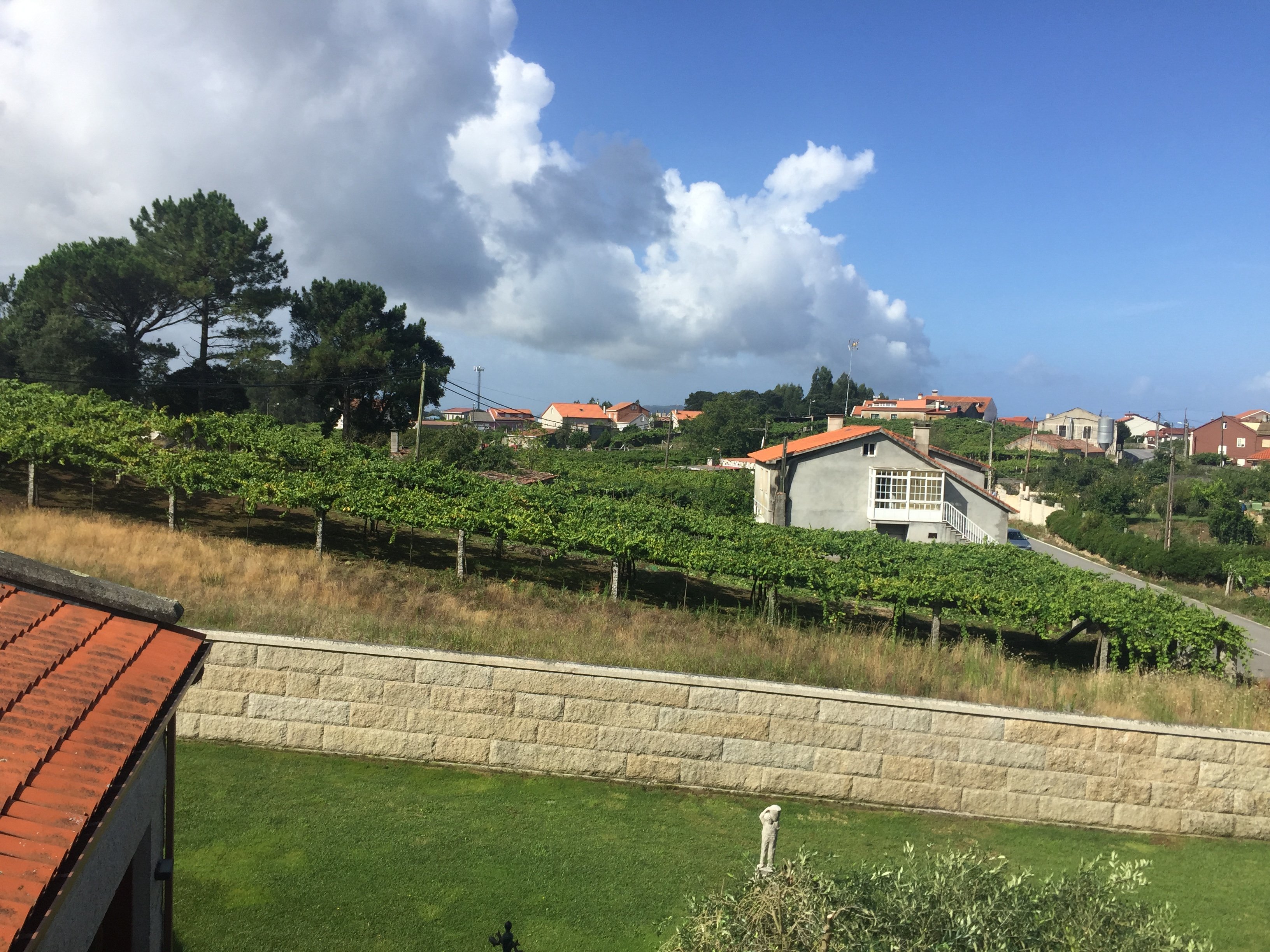 Casa Rural Terra Santa-酒店景观