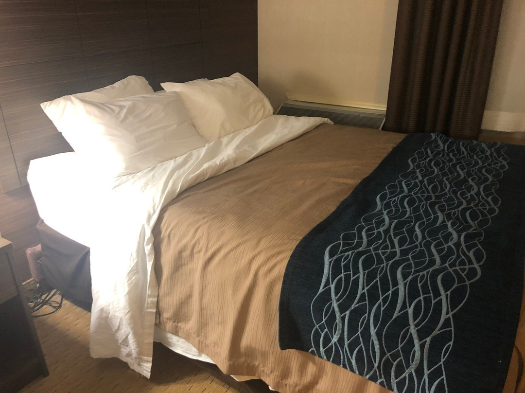 Comfort Inn Levis主图