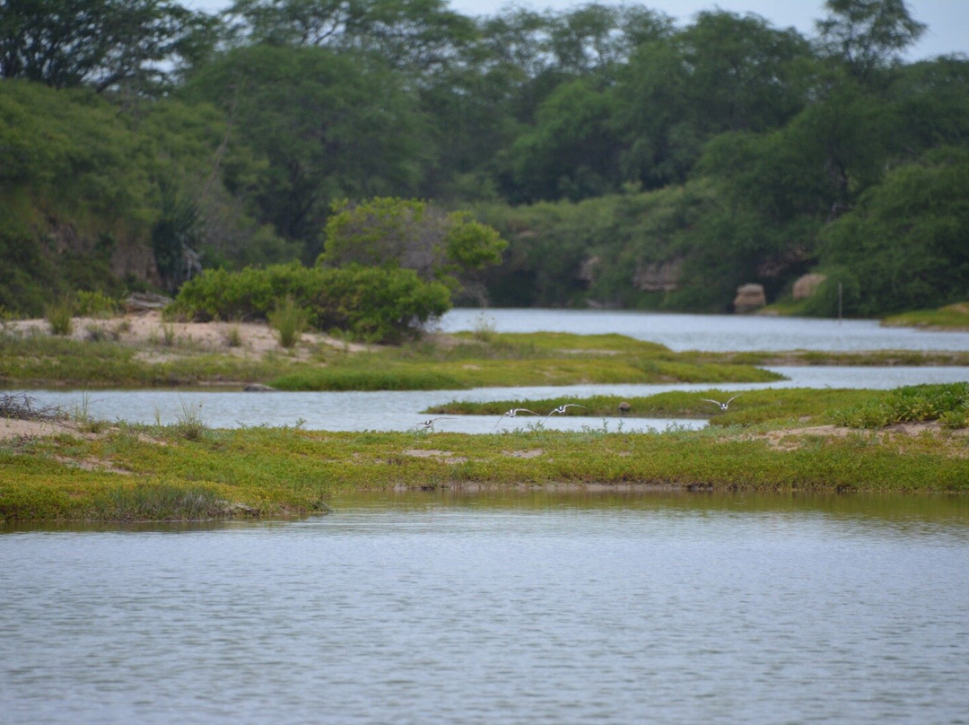 Kawai‘ele Waterbird Sanctuary-科卡哈必去景点