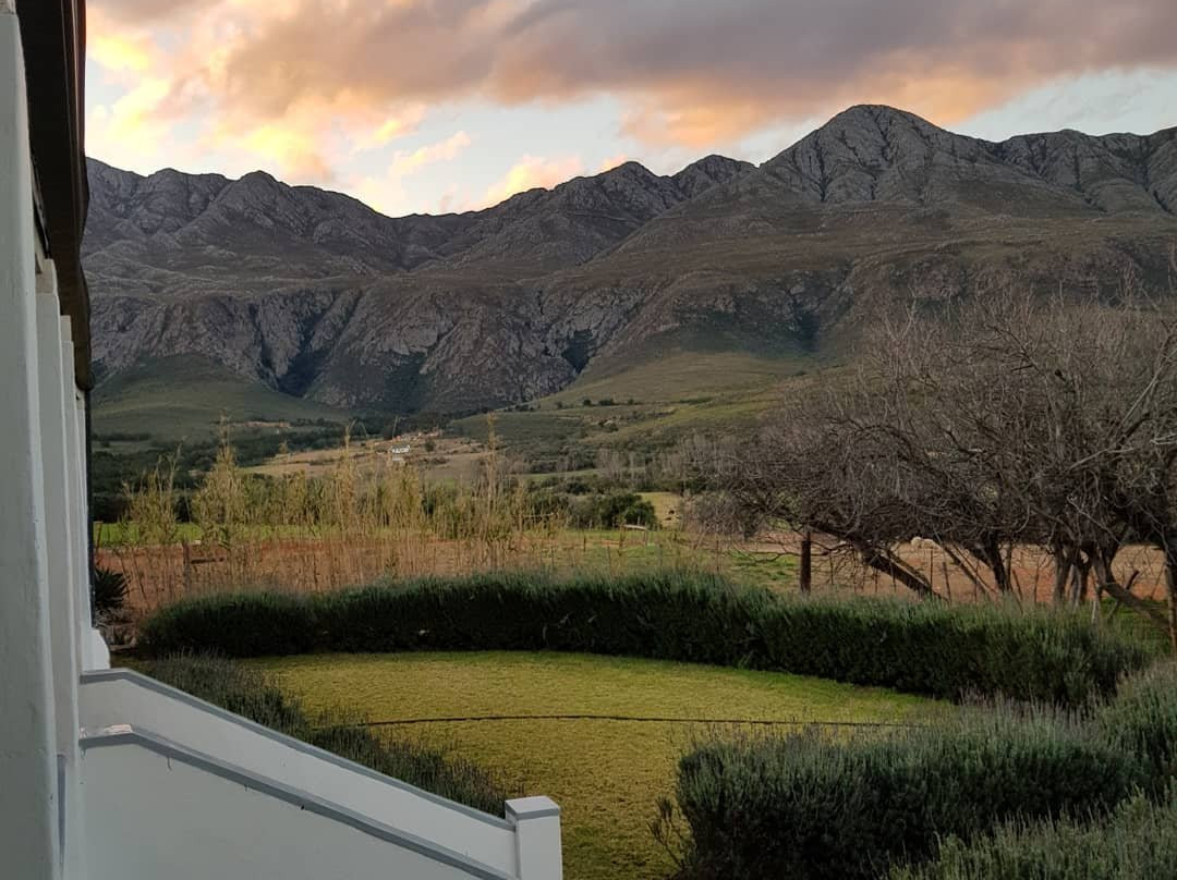 Swartberg Country Manor主图