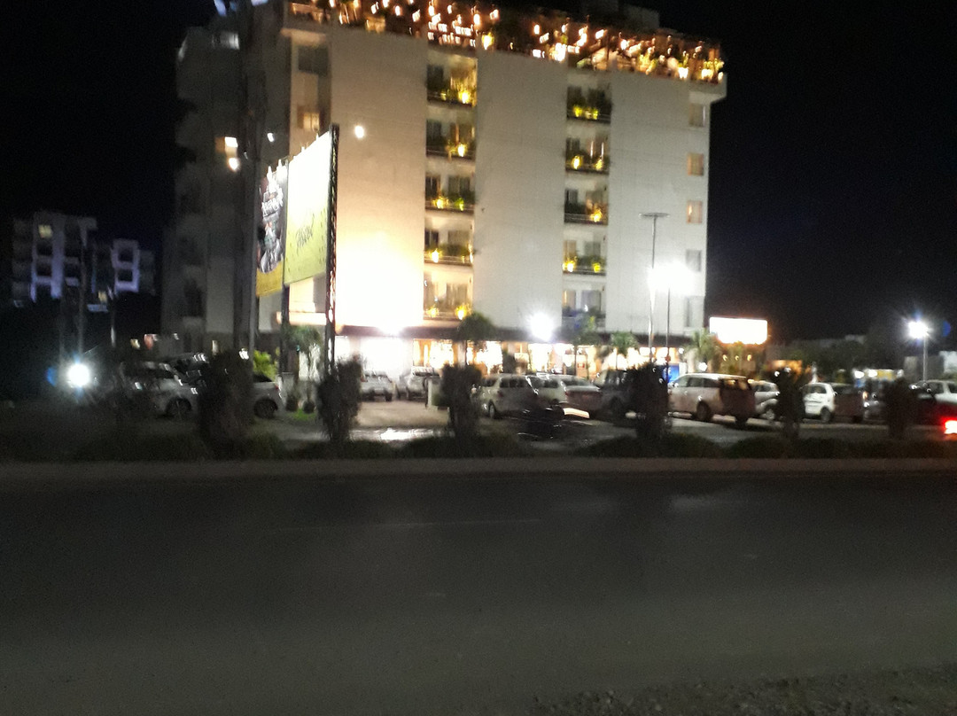 Papaya Tree Hotel主图