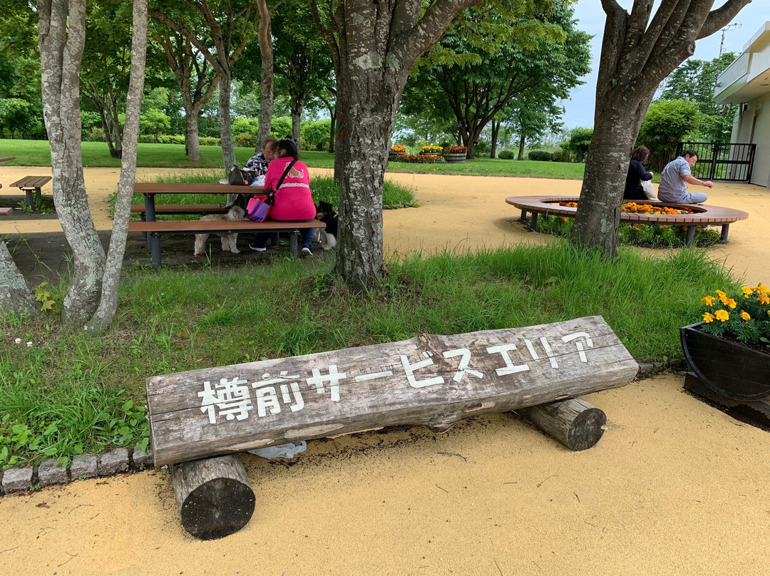 Tarumae Service Area Inbound Line景点图片