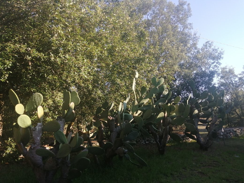 Alba Bed & Breakfast主图