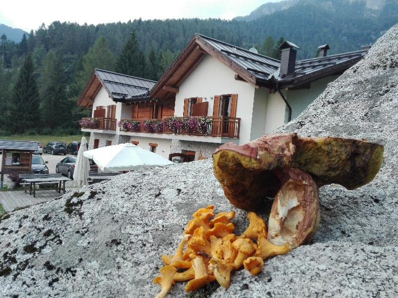 Chalet Albergo Abete Rosso主图