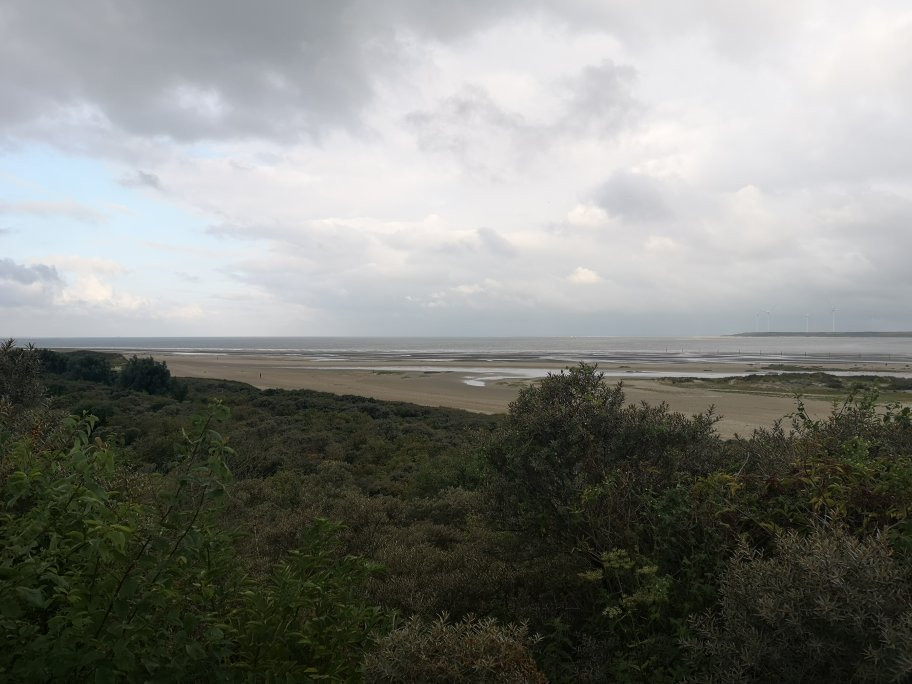 Voornes Duin景点图片