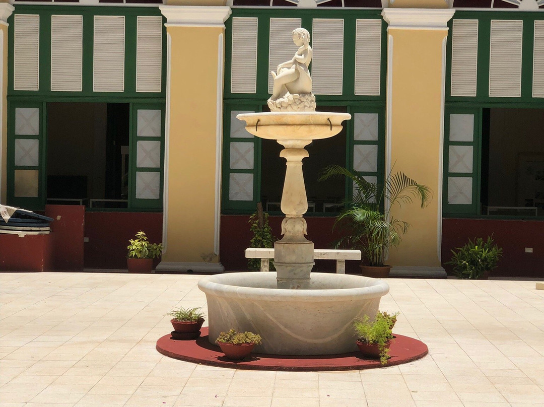 Museo Oscar Maria de Rojas景点图片