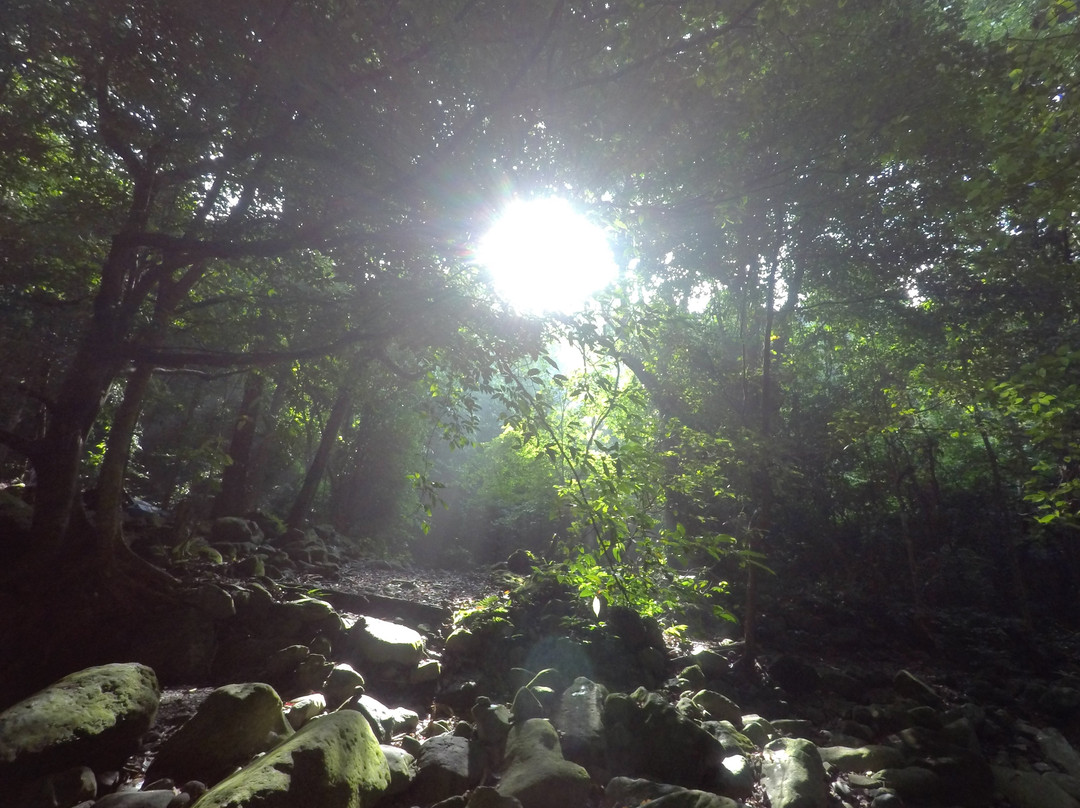 Tarak Ridge-Mariveles必去景点