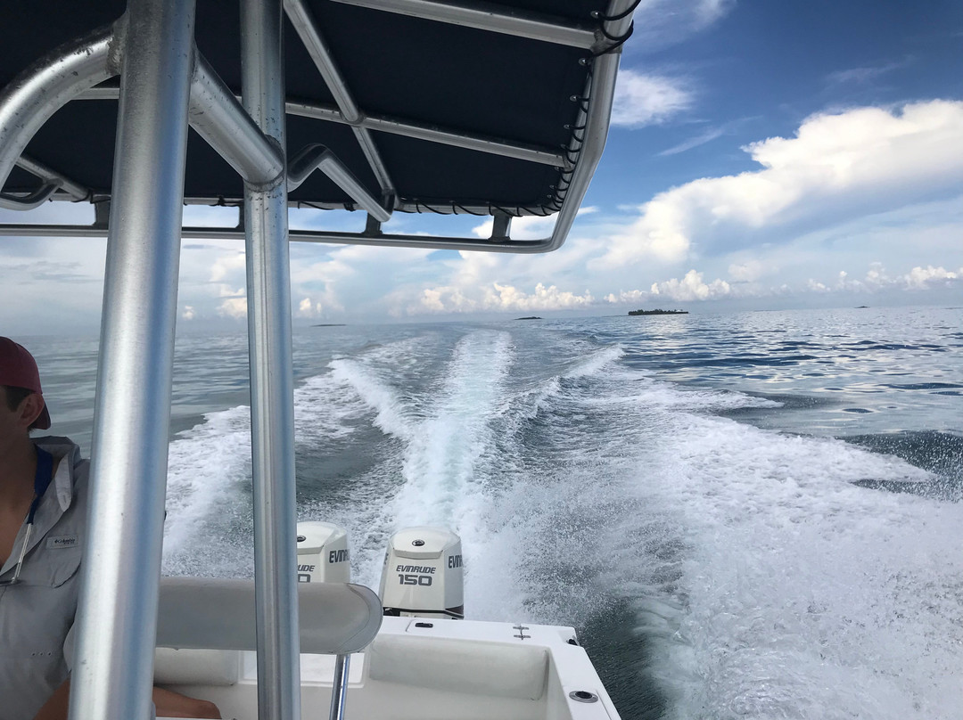 Blue Wave Boat Rentals景点图片