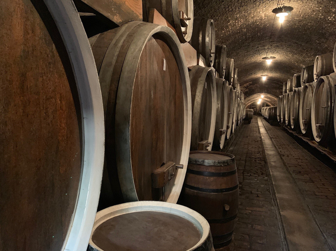 Old Wine Cellars景点图片