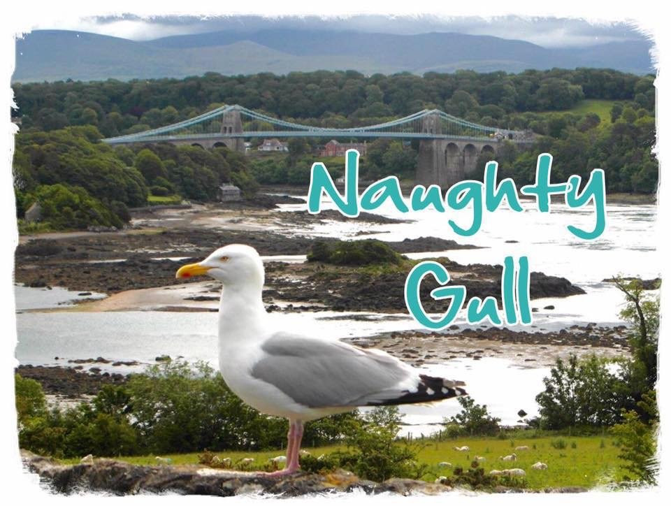 Naughty Gull Coastal Creations景点图片