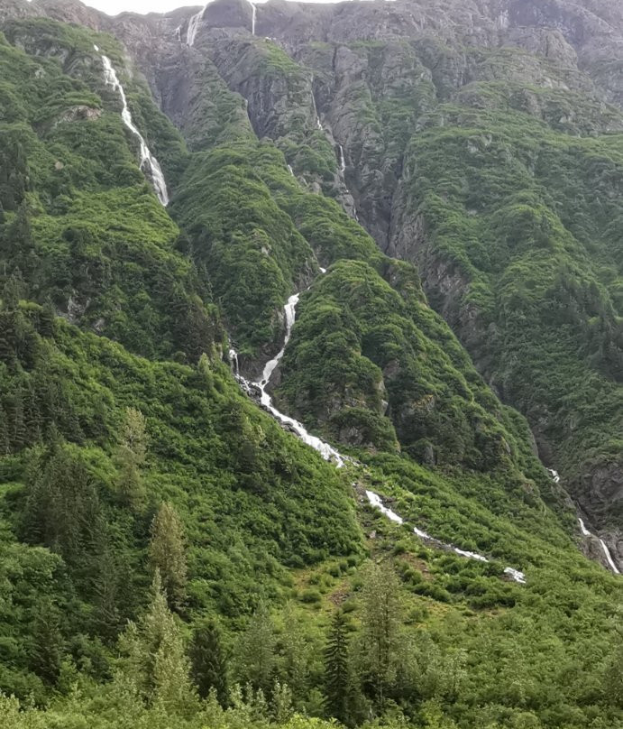 Bear Glacier Provincial Park景点图片