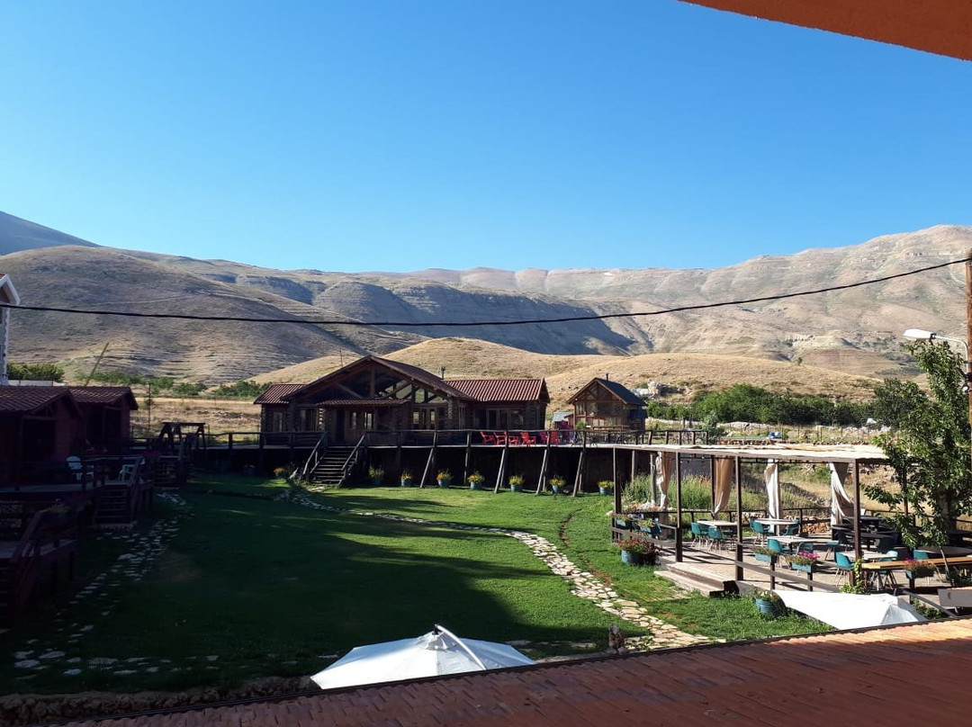 La Maison Des Cedres主图