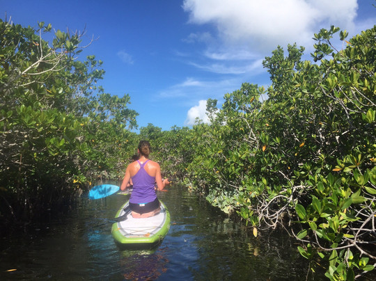 Red Mangrove Kayaking-基韦斯特必去景点