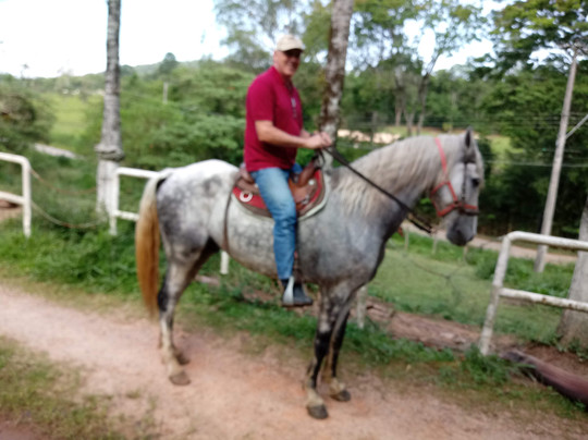 Haras Terra Nova Jundiaí-容迪亚伊必去景点