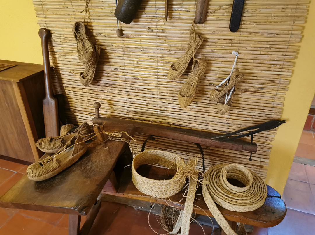 Museo Municipal De Arqueologia Y Etnologia De Segorbe景点图片