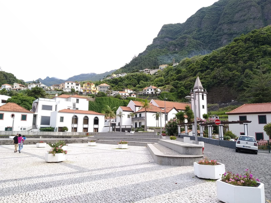 Jardim das Plantas Indígenas da Madeira景点图片