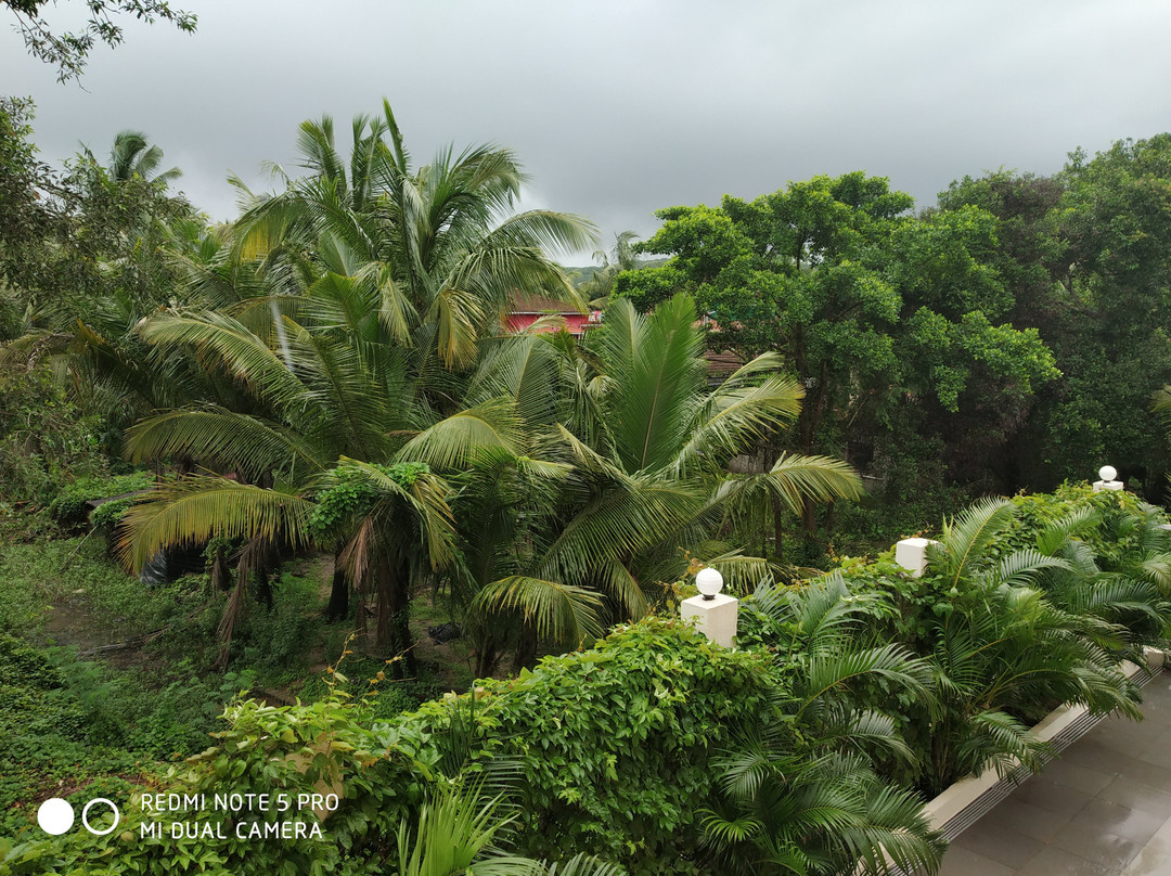 Regenta Central North Goa主图