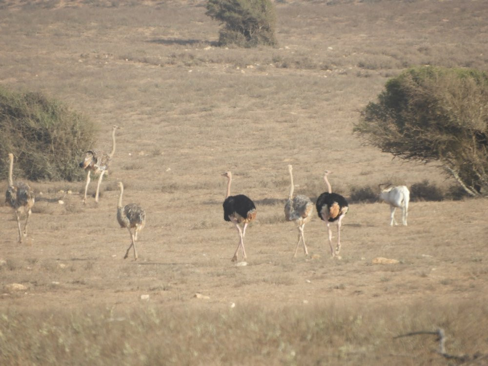 Guide Lahcen-Sidi R'bat必去景点