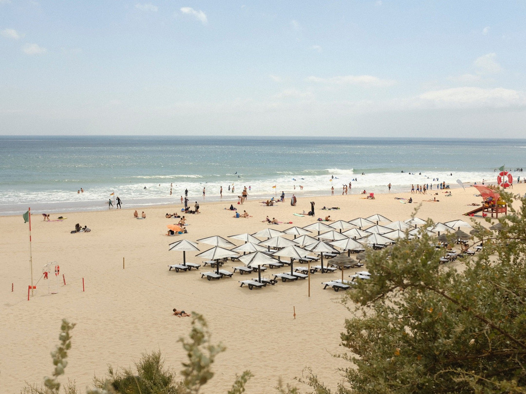Lisbon Surf Tours景点图片