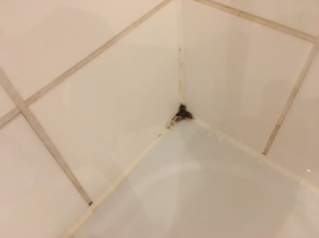 比勒费尔德美居酒店主图