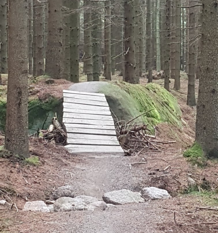 Almindingen Forest-Akirkeby必去景点