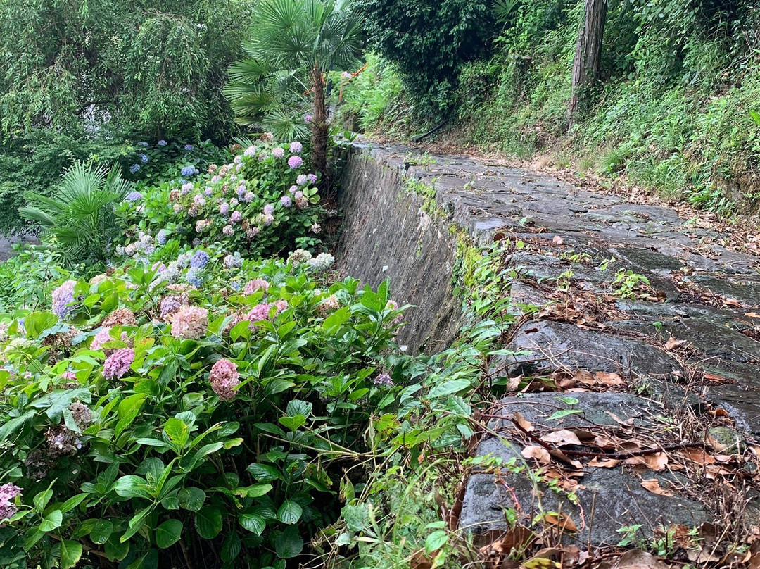 Shori-ji Temple-九度山町必去景点