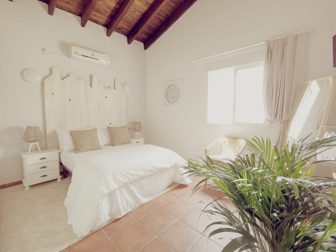 Villa 98 Bed & Breakfast主图