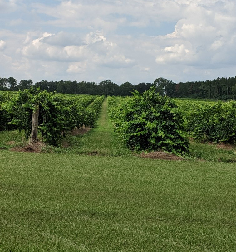 Still Pond Vineyard and Winery-Arlington必去景点