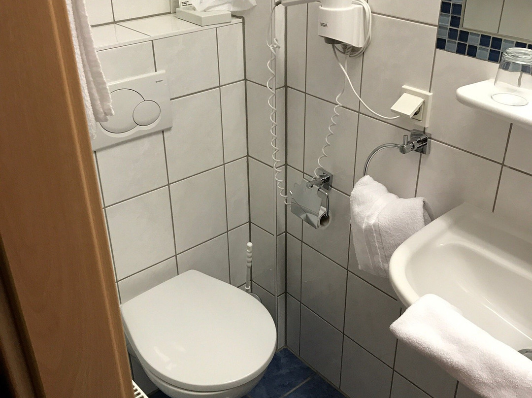 WeinBergHotel Nalbach Reil/Mosel主图