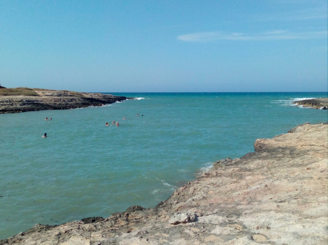 Spiaggia Torre Canne景点图片