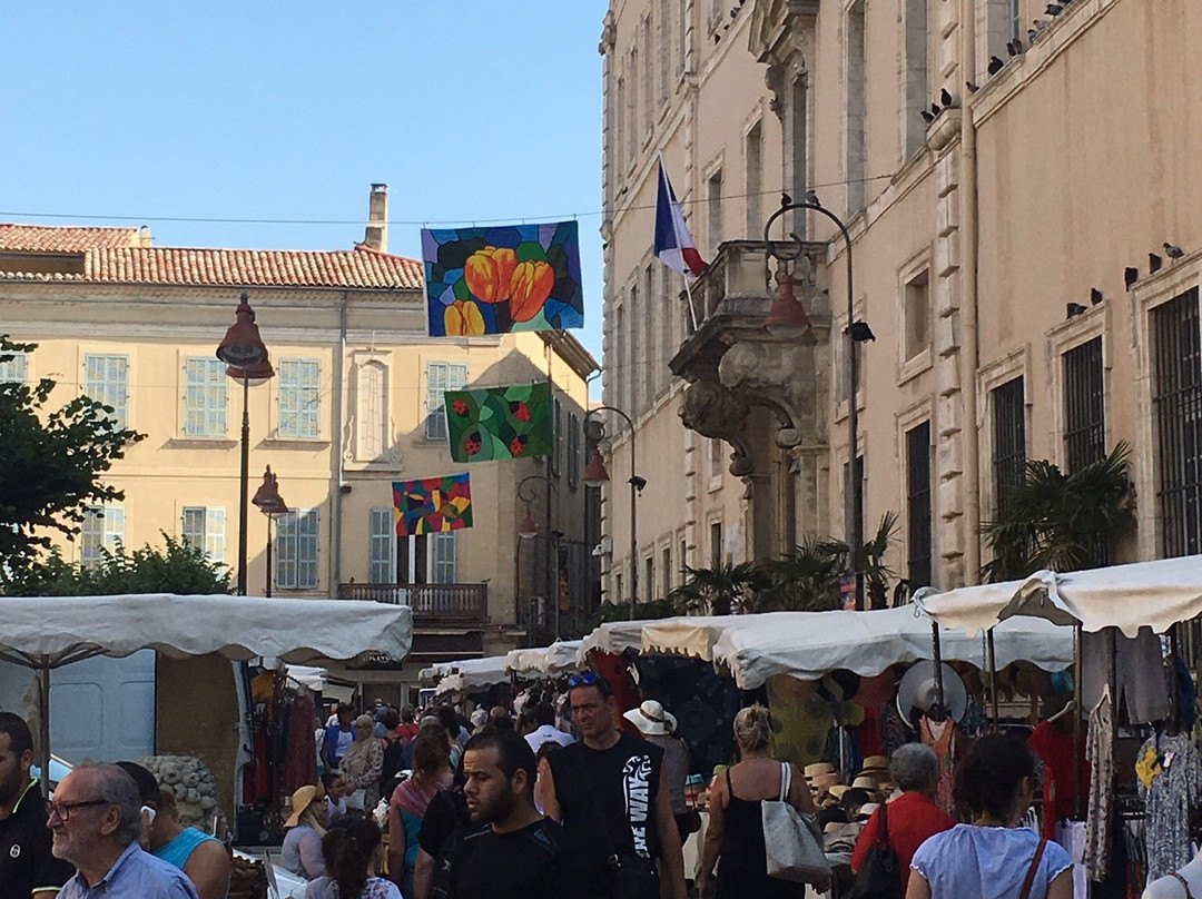 Carpentras Market景点图片