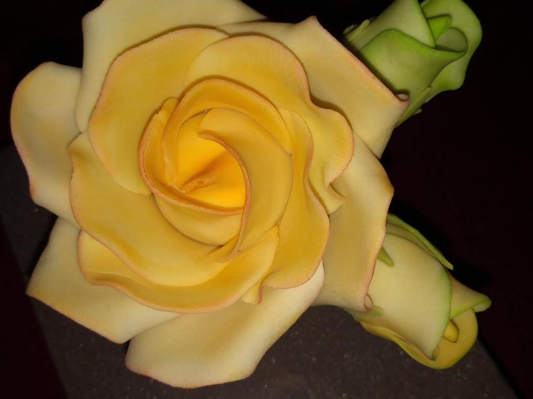 Penningtons School of Cake Artistry-伯恩茅斯必去景点