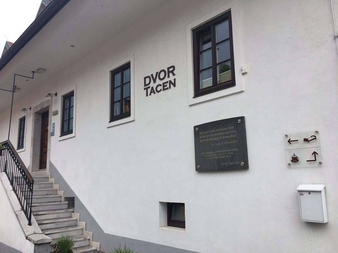 Mansion Dvor Tacen主图
