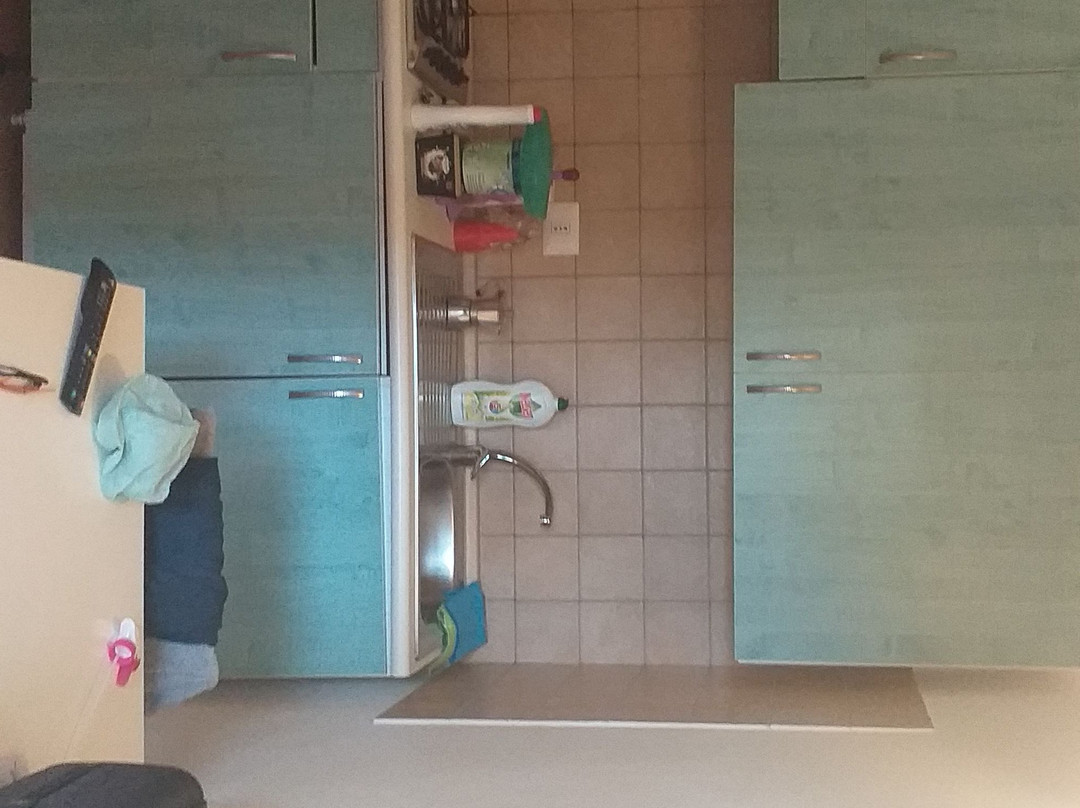 Althea Village主图