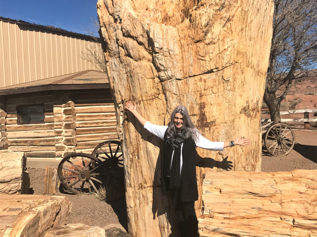 Geronimo's Trading Post-霍尔布鲁克必去景点