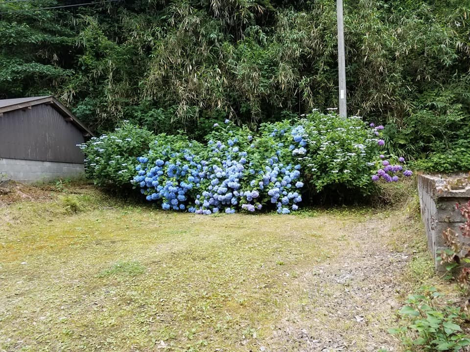 Kiyomizu-dera Temple-安来市必去景点