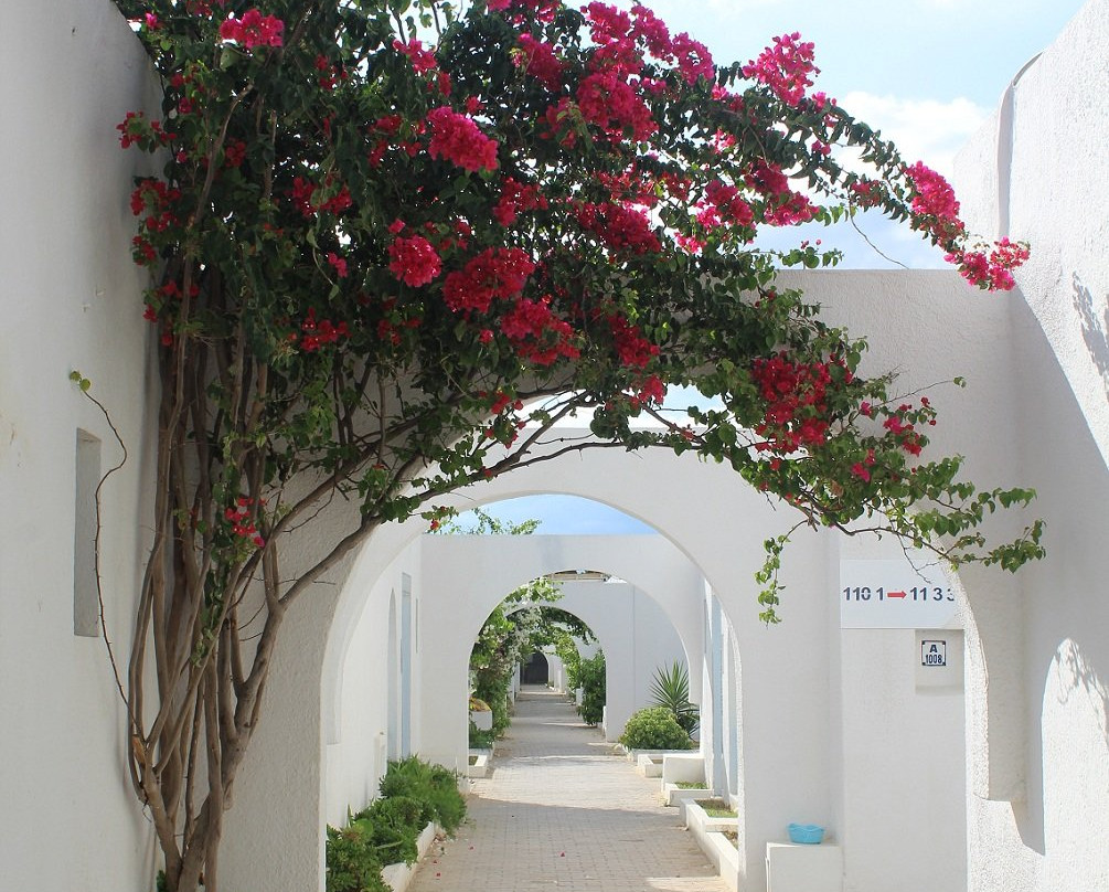 莱斯金字塔酒店主图