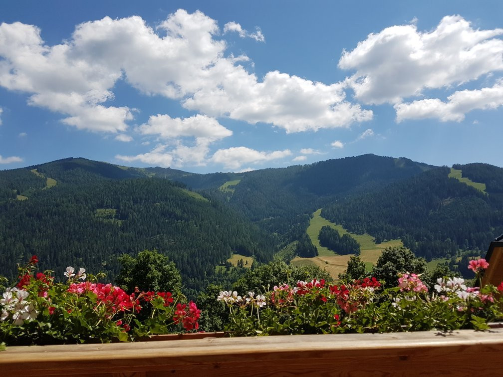 Gasthof Raunig主图