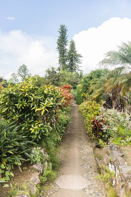 Jardin Ave del Paraiso景点图片