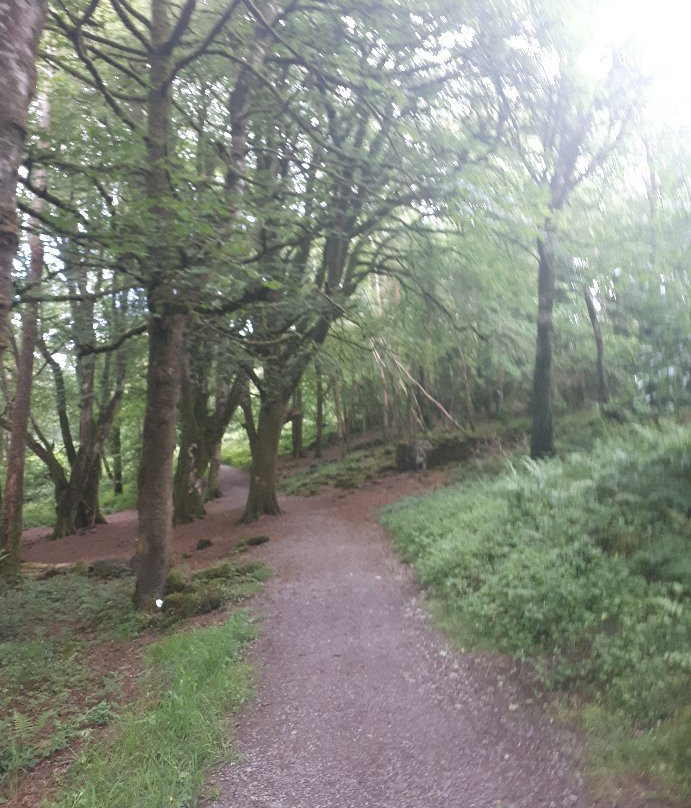 Knockma Forest Walk-Tuam必去景点