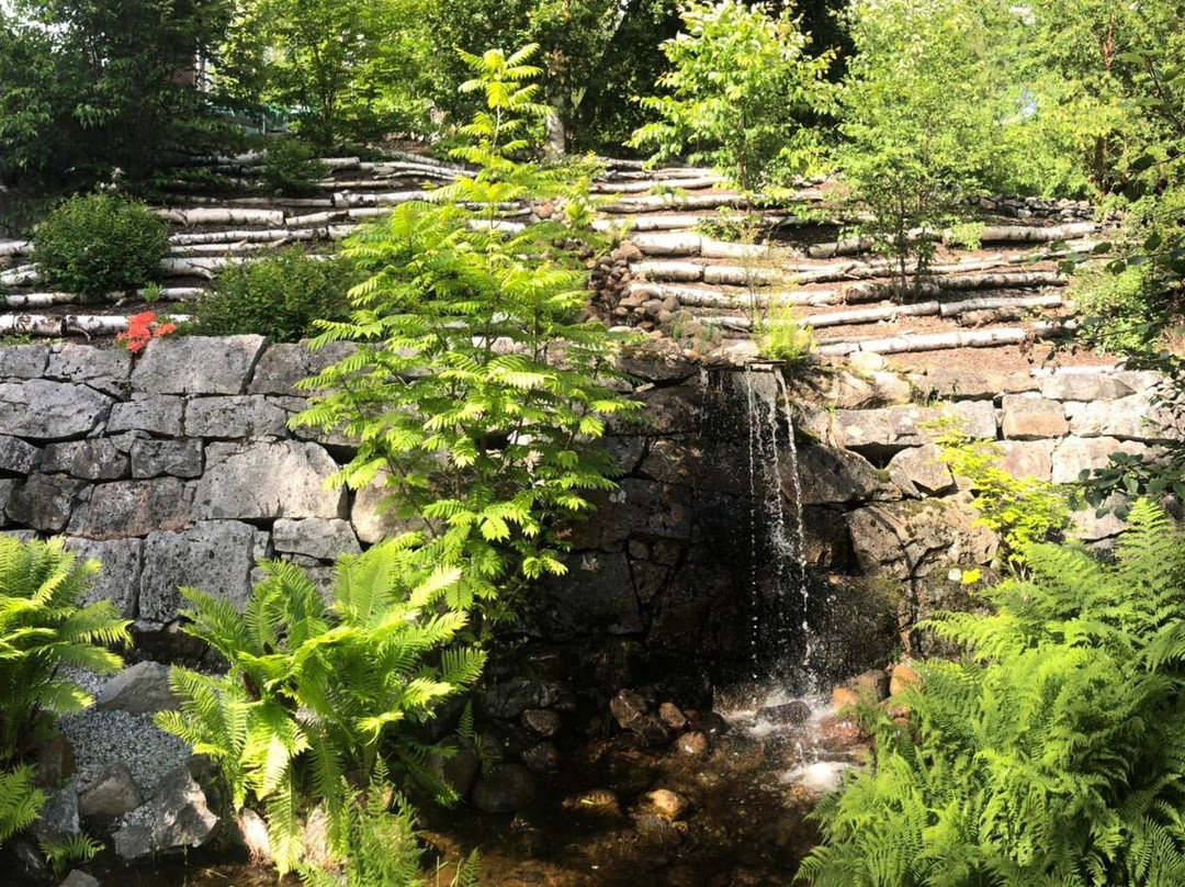 Arboretum Norr-于默奥必去景点