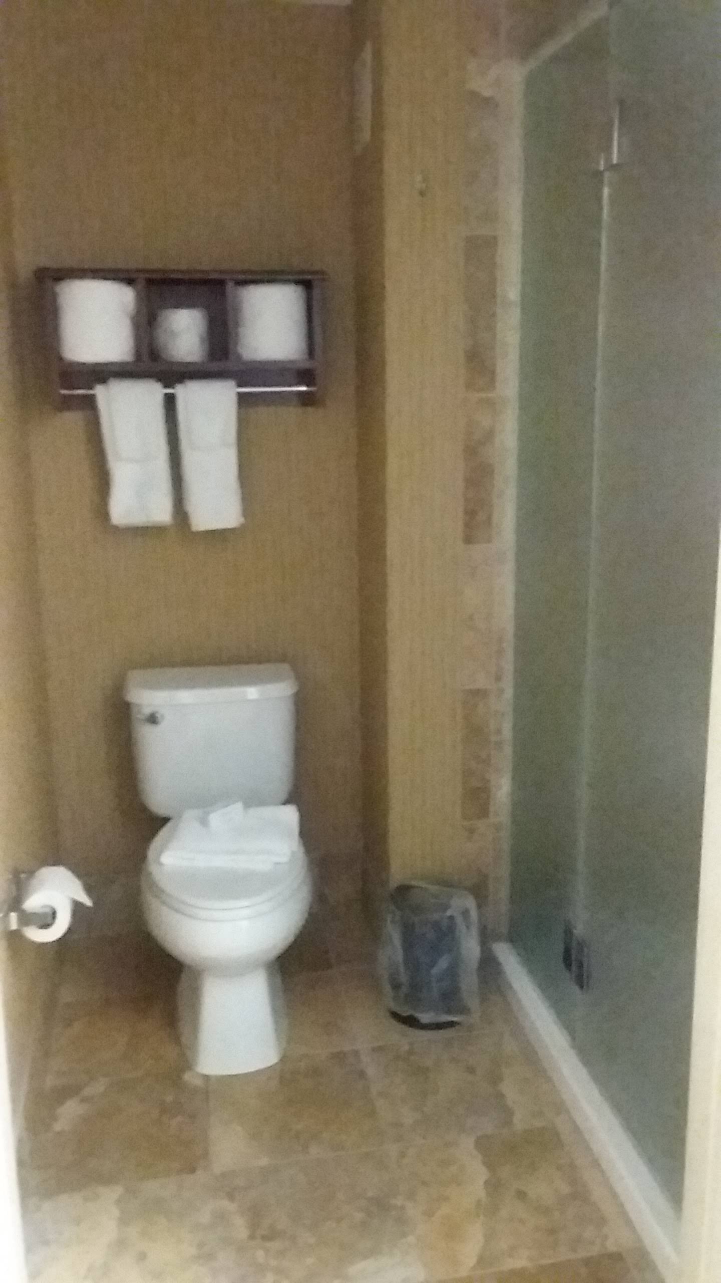 Hampton Inn Tomah-浴室