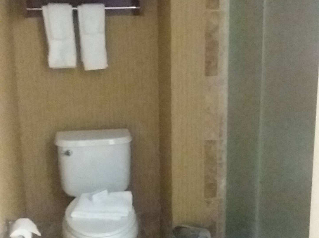 Hampton Inn by Hilton Tomah主图