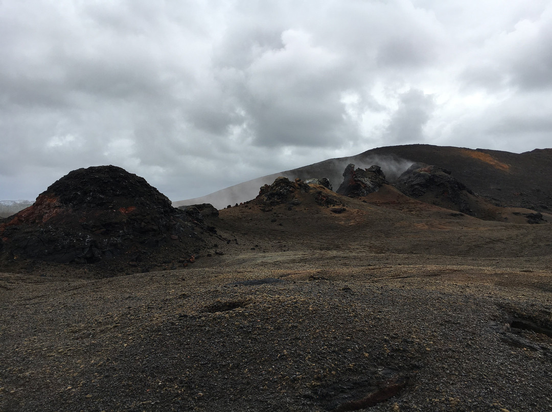 Aloha Lava Tours-Kalapana必去景点