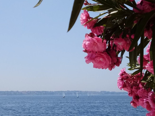 Hotel Histrion主图