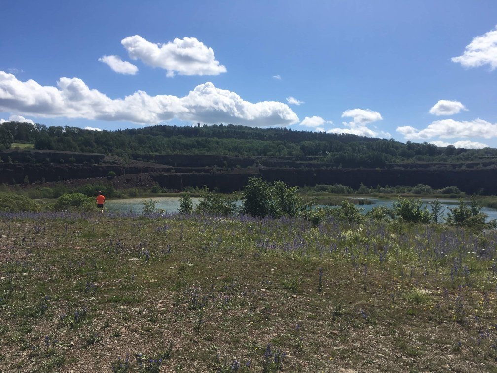 Stora Stenbrottet-Hallekis必去景点