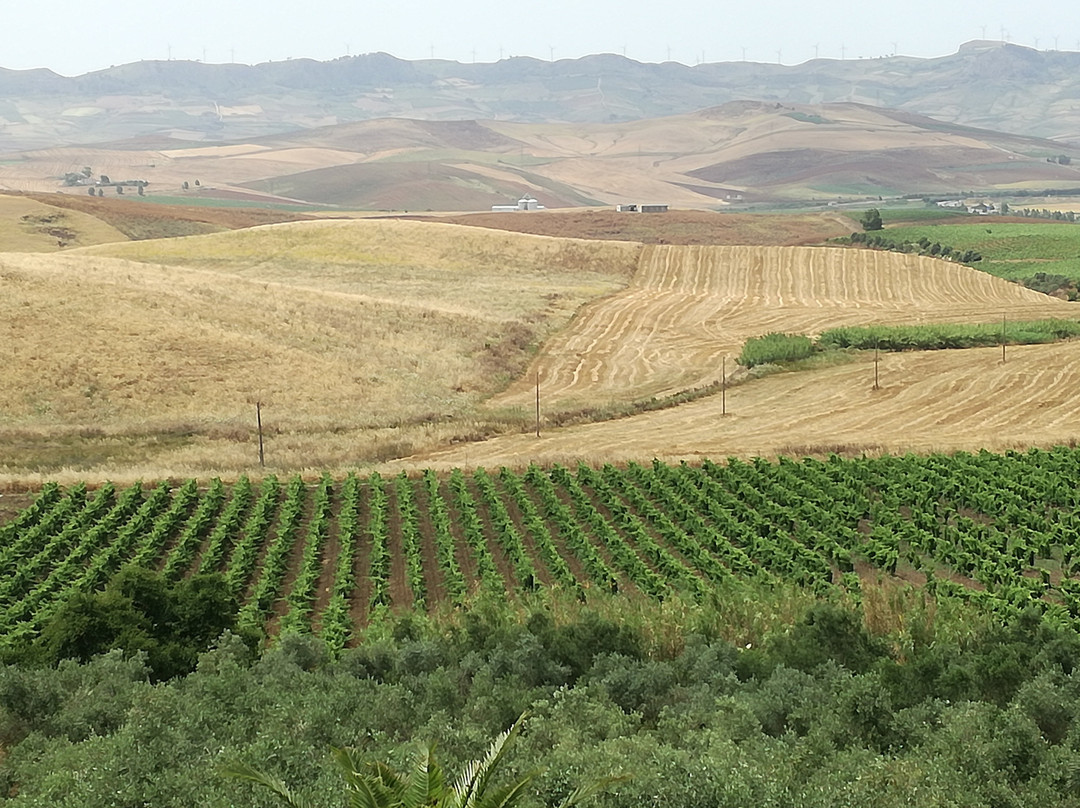 Agriturismo Sirignano Wine Resort主图