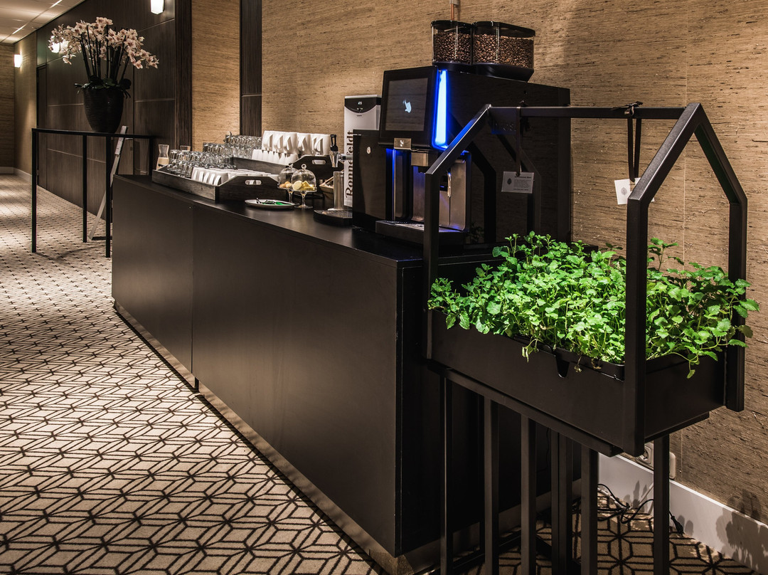 埃因霍温酒店住宿-桑顿埃因霍温中心酒店