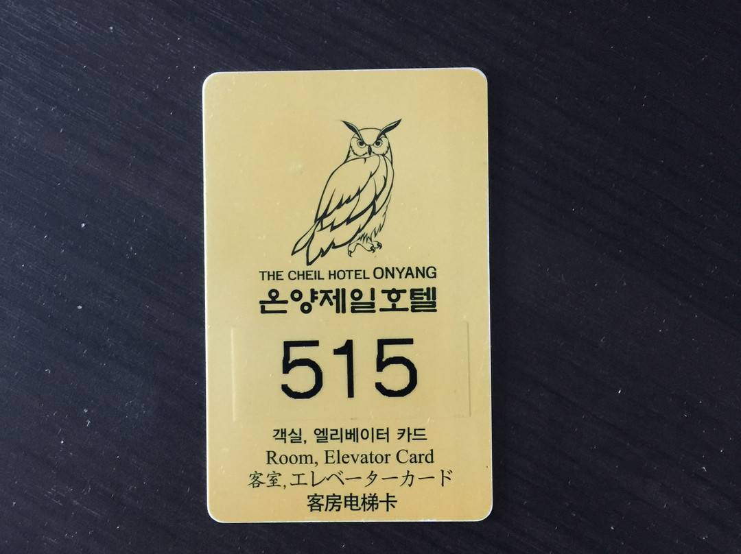 The Cheil Hotel Onyang主图